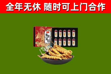 安顺回收冬虫夏草价格